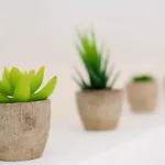 아파트 Les Cerisiers - Duplex De Standing Au Centre De 나무르