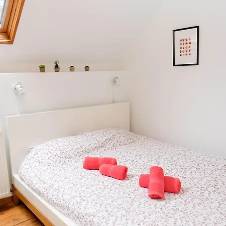 Apartament Les Cerisiers - Duplex De Standing Au Centre De *