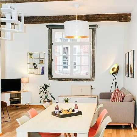 Les Cerisiers - Duplex De Standing Au Centre De * ナミュール