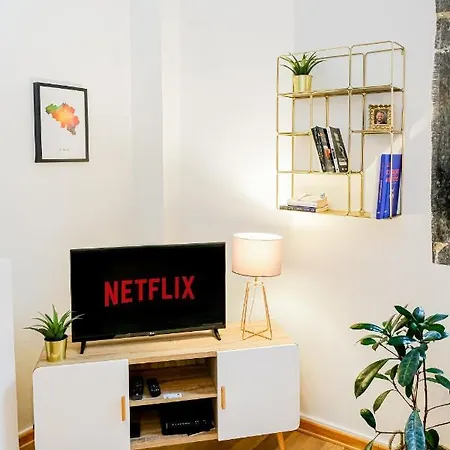 Les Cerisiers - Duplex De Standing Au Centre De Apartament *