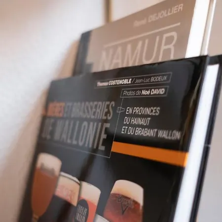 Les Cerisiers - Duplex De Standing Au Centre De * ナミュール