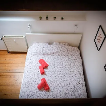 Les Cerisiers - Duplex De Standing Au Centre De アパート ナミュール