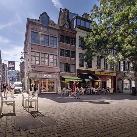 Les Cerisiers - Duplex De Standing Au Centre De アパート *